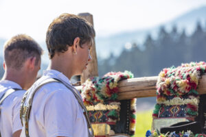 Appenzell, Appenzell Ausserrohden, Appenzeller Vorderland, Autumn, Brauchtum, Fall, Herbst, Ostschweiz, Rehetobel, Schweiz, Sennen, Suisse, Switzerland, Tracht, Viehschau, Wald, Wald AR, tradition