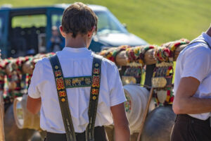 Appenzell, Appenzell Ausserrohden, Appenzeller Vorderland, Autumn, Brauchtum, Fall, Herbst, Ostschweiz, Rehetobel, Schweiz, Sennen, Suisse, Switzerland, Tracht, Viehschau, Wald, Wald AR, tradition