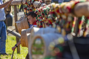 Appenzell, Appenzell Ausserrohden, Appenzeller Vorderland, Autumn, Brauchtum, Fall, Herbst, Ostschweiz, Rehetobel, Schweiz, Sennen, Suisse, Switzerland, Tracht, Viehschau, Wald, Wald AR, tradition