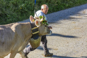 Appenzell, Appenzell Ausserrohden, Appenzeller Vorderland, Autumn, Brauchtum, Fall, Herbst, Ostschweiz, Rehetobel, Schweiz, Sennen, Suisse, Switzerland, Tracht, Viehschau, Wald, Wald AR, tradition
