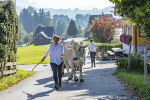 Appenzell, Appenzell Ausserrohden, Appenzeller Vorderland, Autumn, Brauchtum, Fall, Herbst, Ostschweiz, Rehetobel, Schweiz, Sennen, Suisse, Switzerland, Tracht, Viehschau, Wald, Wald AR, tradition