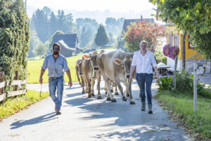 Appenzell, Appenzell Ausserrohden, Appenzeller Vorderland, Autumn, Brauchtum, Fall, Herbst, Ostschweiz, Rehetobel, Schweiz, Sennen, Suisse, Switzerland, Tracht, Viehschau, Wald, Wald AR, tradition