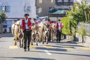 Appenzell, Appenzell Ausserrohden, Appenzeller Vorderland, Autumn, Brauchtum, Fall, Herbst, Ostschweiz, Rehetobel, Schweiz, Sennen, Suisse, Switzerland, Tracht, Viehschau, Wald, Wald AR, tradition
