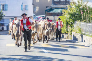 Appenzell, Appenzell Ausserrohden, Appenzeller Vorderland, Autumn, Brauchtum, Fall, Herbst, Ostschweiz, Rehetobel, Schweiz, Sennen, Suisse, Switzerland, Tracht, Viehschau, Wald, Wald AR, tradition