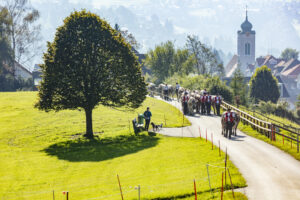 Appenzell, Appenzell Ausserrohden, Appenzeller Vorderland, Autumn, Brauchtum, Fall, Herbst, Ostschweiz, Rehetobel, Schweiz, Sennen, Suisse, Switzerland, Tracht, Viehschau, Wald, Wald AR, tradition