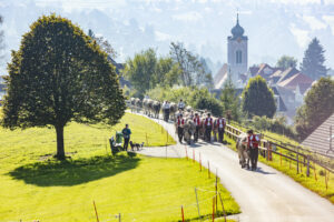 Appenzell, Appenzell Ausserrohden, Appenzeller Vorderland, Autumn, Brauchtum, Fall, Herbst, Ostschweiz, Rehetobel, Schweiz, Sennen, Suisse, Switzerland, Tracht, Viehschau, Wald, Wald AR, tradition