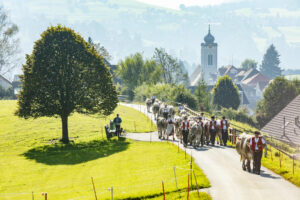 Appenzell, Appenzell Ausserrohden, Appenzeller Vorderland, Autumn, Brauchtum, Fall, Herbst, Ostschweiz, Rehetobel, Schweiz, Sennen, Suisse, Switzerland, Tracht, Viehschau, Wald, Wald AR, tradition