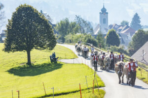 Appenzell, Appenzell Ausserrohden, Appenzeller Vorderland, Autumn, Brauchtum, Fall, Herbst, Ostschweiz, Rehetobel, Schweiz, Sennen, Suisse, Switzerland, Tracht, Viehschau, Wald, Wald AR, tradition