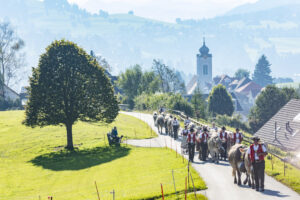 Appenzell, Appenzell Ausserrohden, Appenzeller Vorderland, Autumn, Brauchtum, Fall, Herbst, Ostschweiz, Rehetobel, Schweiz, Sennen, Suisse, Switzerland, Tracht, Viehschau, Wald, Wald AR, tradition