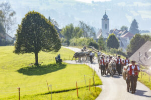 Appenzell, Appenzell Ausserrohden, Appenzeller Vorderland, Autumn, Brauchtum, Fall, Herbst, Ostschweiz, Rehetobel, Schweiz, Sennen, Suisse, Switzerland, Tracht, Viehschau, Wald, Wald AR, tradition