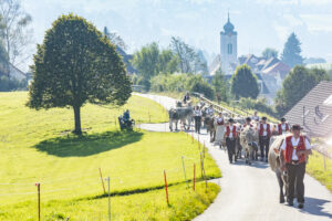 Appenzell, Appenzell Ausserrohden, Appenzeller Vorderland, Autumn, Brauchtum, Fall, Herbst, Ostschweiz, Rehetobel, Schweiz, Sennen, Suisse, Switzerland, Tracht, Viehschau, Wald, Wald AR, tradition