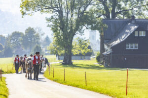 Appenzell, Appenzell Ausserrohden, Appenzeller Vorderland, Autumn, Brauchtum, Fall, Herbst, Ostschweiz, Rehetobel, Schweiz, Sennen, Suisse, Switzerland, Tracht, Viehschau, Wald, Wald AR, tradition
