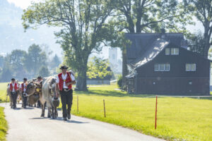 Appenzell, Appenzell Ausserrohden, Appenzeller Vorderland, Autumn, Brauchtum, Fall, Herbst, Ostschweiz, Rehetobel, Schweiz, Sennen, Suisse, Switzerland, Tracht, Viehschau, Wald, Wald AR, tradition