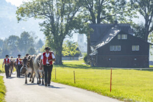 Appenzell, Appenzell Ausserrohden, Appenzeller Vorderland, Autumn, Brauchtum, Fall, Herbst, Ostschweiz, Rehetobel, Schweiz, Sennen, Suisse, Switzerland, Tracht, Viehschau, Wald, Wald AR, tradition