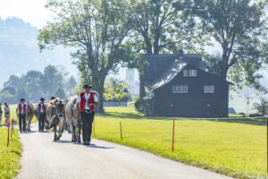 Appenzell, Appenzell Ausserrohden, Appenzeller Vorderland, Autumn, Brauchtum, Fall, Herbst, Ostschweiz, Rehetobel, Schweiz, Sennen, Suisse, Switzerland, Tracht, Viehschau, Wald, Wald AR, tradition