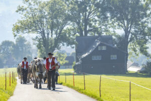 Appenzell, Appenzell Ausserrohden, Appenzeller Vorderland, Autumn, Brauchtum, Fall, Herbst, Ostschweiz, Rehetobel, Schweiz, Sennen, Suisse, Switzerland, Tracht, Viehschau, Wald, Wald AR, tradition