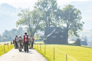 Appenzell, Appenzell Ausserrohden, Appenzeller Vorderland, Autumn, Brauchtum, Fall, Herbst, Ostschweiz, Rehetobel, Schweiz, Sennen, Suisse, Switzerland, Tracht, Viehschau, Wald, Wald AR, tradition