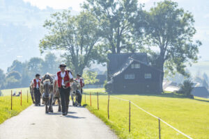 Appenzell, Appenzell Ausserrohden, Appenzeller Vorderland, Autumn, Brauchtum, Fall, Herbst, Ostschweiz, Rehetobel, Schweiz, Sennen, Suisse, Switzerland, Tracht, Viehschau, Wald, Wald AR, tradition