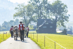 Appenzell, Appenzell Ausserrohden, Appenzeller Vorderland, Autumn, Brauchtum, Fall, Herbst, Ostschweiz, Rehetobel, Schweiz, Sennen, Suisse, Switzerland, Tracht, Viehschau, Wald, Wald AR, tradition