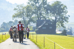 Appenzell, Appenzell Ausserrohden, Appenzeller Vorderland, Autumn, Brauchtum, Fall, Herbst, Ostschweiz, Rehetobel, Schweiz, Sennen, Suisse, Switzerland, Tracht, Viehschau, Wald, Wald AR, tradition