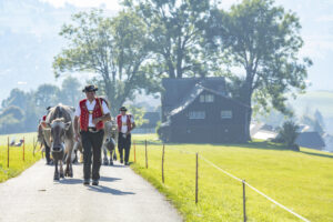 Appenzell, Appenzell Ausserrohden, Appenzeller Vorderland, Autumn, Brauchtum, Fall, Herbst, Ostschweiz, Rehetobel, Schweiz, Sennen, Suisse, Switzerland, Tracht, Viehschau, Wald, Wald AR, tradition