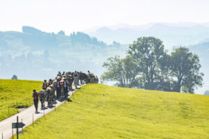 Appenzell, Appenzell Ausserrohden, Appenzeller Vorderland, Autumn, Brauchtum, Fall, Herbst, Ostschweiz, Rehetobel, Schweiz, Sennen, Suisse, Switzerland, Tracht, Viehschau, Wald, Wald AR, tradition