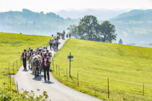 Appenzell, Appenzell Ausserrohden, Appenzeller Vorderland, Autumn, Brauchtum, Fall, Herbst, Ostschweiz, Rehetobel, Schweiz, Sennen, Suisse, Switzerland, Tracht, Viehschau, Wald, Wald AR, tradition