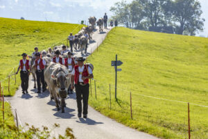 Appenzell, Appenzell Ausserrohden, Appenzeller Vorderland, Autumn, Brauchtum, Fall, Herbst, Ostschweiz, Rehetobel, Schweiz, Sennen, Suisse, Switzerland, Tracht, Viehschau, Wald, Wald AR, tradition