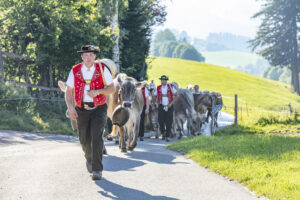 Appenzell, Appenzell Ausserrohden, Appenzeller Vorderland, Autumn, Brauchtum, Fall, Herbst, Ostschweiz, Rehetobel, Schweiz, Sennen, Suisse, Switzerland, Tracht, Viehschau, Wald, Wald AR, tradition
