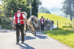Appenzell, Appenzell Ausserrohden, Appenzeller Vorderland, Autumn, Brauchtum, Fall, Herbst, Ostschweiz, Rehetobel, Schweiz, Sennen, Suisse, Switzerland, Tracht, Viehschau, Wald, Wald AR, tradition