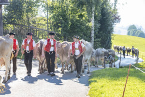 Appenzell, Appenzell Ausserrohden, Appenzeller Vorderland, Autumn, Brauchtum, Fall, Herbst, Ostschweiz, Rehetobel, Schweiz, Sennen, Suisse, Switzerland, Tracht, Viehschau, Wald, Wald AR, tradition