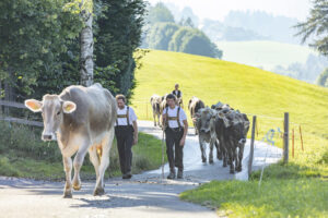 Appenzell, Appenzell Ausserrohden, Appenzeller Vorderland, Autumn, Brauchtum, Fall, Herbst, Ostschweiz, Rehetobel, Schweiz, Sennen, Suisse, Switzerland, Tracht, Viehschau, Wald, Wald AR, tradition
