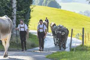 Appenzell, Appenzell Ausserrohden, Appenzeller Vorderland, Autumn, Brauchtum, Fall, Herbst, Ostschweiz, Rehetobel, Schweiz, Sennen, Suisse, Switzerland, Tracht, Viehschau, Wald, Wald AR, tradition