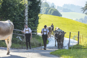 Appenzell, Appenzell Ausserrohden, Appenzeller Vorderland, Autumn, Brauchtum, Fall, Herbst, Ostschweiz, Rehetobel, Schweiz, Sennen, Suisse, Switzerland, Tracht, Viehschau, Wald, Wald AR, tradition