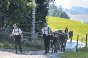 Appenzell, Appenzell Ausserrohden, Appenzeller Vorderland, Autumn, Brauchtum, Fall, Herbst, Ostschweiz, Rehetobel, Schweiz, Sennen, Suisse, Switzerland, Tracht, Viehschau, Wald, Wald AR, tradition