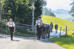Appenzell, Appenzell Ausserrohden, Appenzeller Vorderland, Autumn, Brauchtum, Fall, Herbst, Ostschweiz, Rehetobel, Schweiz, Sennen, Suisse, Switzerland, Tracht, Viehschau, Wald, Wald AR, tradition