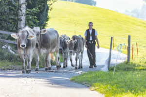 Appenzell, Appenzell Ausserrohden, Appenzeller Vorderland, Autumn, Brauchtum, Fall, Herbst, Ostschweiz, Rehetobel, Schweiz, Sennen, Suisse, Switzerland, Tracht, Viehschau, Wald, Wald AR, tradition