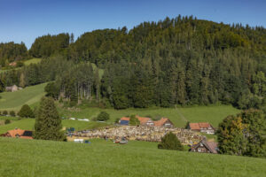 Appenzell, Appenzell Ausserrohden, Appenzeller Vorderland, Autumn, Brauchtum, Fall, Herbst, Ostschweiz, Rehetobel, Schweiz, Sennen, Suisse, Switzerland, Tracht, Viehschau, Wald, Wald AR, tradition