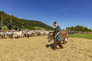 Appenzell, Appenzell Ausserrohden, Appenzeller Vorderland, Autumn, Brauchtum, Fall, Herbst, Ostschweiz, Rehetobel, Schweiz, Sennen, Suisse, Switzerland, Tracht, Viehschau, Wald, Wald AR, tradition