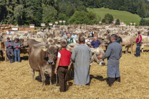 Appenzell, Appenzell Ausserrohden, Appenzeller Vorderland, Autumn, Brauchtum, Fall, Herbst, Ostschweiz, Rehetobel, Schweiz, Sennen, Suisse, Switzerland, Tracht, Viehschau, Wald, Wald AR, tradition