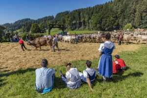 Appenzell, Appenzell Ausserrohden, Appenzeller Vorderland, Autumn, Brauchtum, Fall, Herbst, Ostschweiz, Rehetobel, Schweiz, Sennen, Suisse, Switzerland, Tracht, Viehschau, Wald, Wald AR, tradition