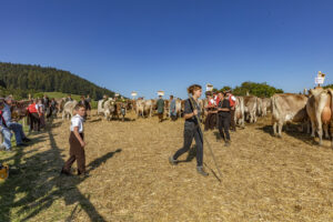 Appenzell, Appenzell Ausserrohden, Appenzeller Vorderland, Autumn, Brauchtum, Fall, Herbst, Ostschweiz, Rehetobel, Schweiz, Sennen, Suisse, Switzerland, Tracht, Viehschau, Wald, Wald AR, tradition