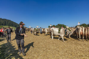 Appenzell, Appenzell Ausserrohden, Appenzeller Vorderland, Autumn, Brauchtum, Fall, Herbst, Ostschweiz, Rehetobel, Schweiz, Sennen, Suisse, Switzerland, Tracht, Viehschau, Wald, Wald AR, tradition