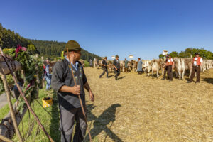 Appenzell, Appenzell Ausserrohden, Appenzeller Vorderland, Autumn, Brauchtum, Fall, Herbst, Ostschweiz, Rehetobel, Schweiz, Sennen, Suisse, Switzerland, Tracht, Viehschau, Wald, Wald AR, tradition