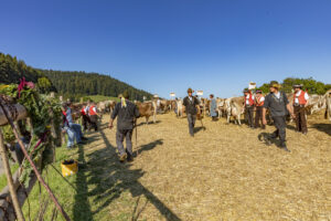 Appenzell, Appenzell Ausserrohden, Appenzeller Vorderland, Autumn, Brauchtum, Fall, Herbst, Ostschweiz, Rehetobel, Schweiz, Sennen, Suisse, Switzerland, Tracht, Viehschau, Wald, Wald AR, tradition
