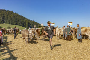 Appenzell, Appenzell Ausserrohden, Appenzeller Vorderland, Autumn, Brauchtum, Fall, Herbst, Ostschweiz, Rehetobel, Schweiz, Sennen, Suisse, Switzerland, Tracht, Viehschau, Wald, Wald AR, tradition