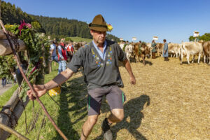 Appenzell, Appenzell Ausserrohden, Appenzeller Vorderland, Autumn, Brauchtum, Fall, Herbst, Ostschweiz, Rehetobel, Schweiz, Sennen, Suisse, Switzerland, Tracht, Viehschau, Wald, Wald AR, tradition