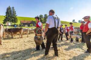 Appenzell, Appenzell Ausserrohden, Appenzeller Vorderland, Autumn, Brauchtum, Fall, Herbst, Ostschweiz, Rehetobel, Schweiz, Sennen, Suisse, Switzerland, Tracht, Viehschau, Wald, Wald AR, tradition