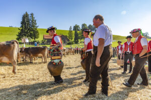 Appenzell, Appenzell Ausserrohden, Appenzeller Vorderland, Autumn, Brauchtum, Fall, Herbst, Ostschweiz, Rehetobel, Schweiz, Sennen, Suisse, Switzerland, Tracht, Viehschau, Wald, Wald AR, tradition