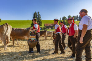 Appenzell, Appenzell Ausserrohden, Appenzeller Vorderland, Autumn, Brauchtum, Fall, Herbst, Ostschweiz, Rehetobel, Schweiz, Sennen, Suisse, Switzerland, Tracht, Viehschau, Wald, Wald AR, tradition